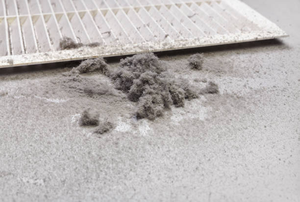 Best Air Vent Cleaning Services  in Tipton, MO