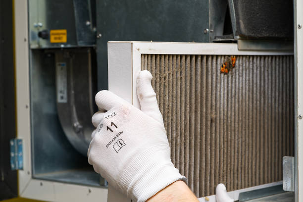 Best Ductwork Cleaning Services  in Tipton, MO