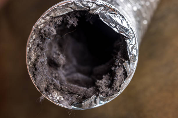 Air Duct Mold Removal in MO
